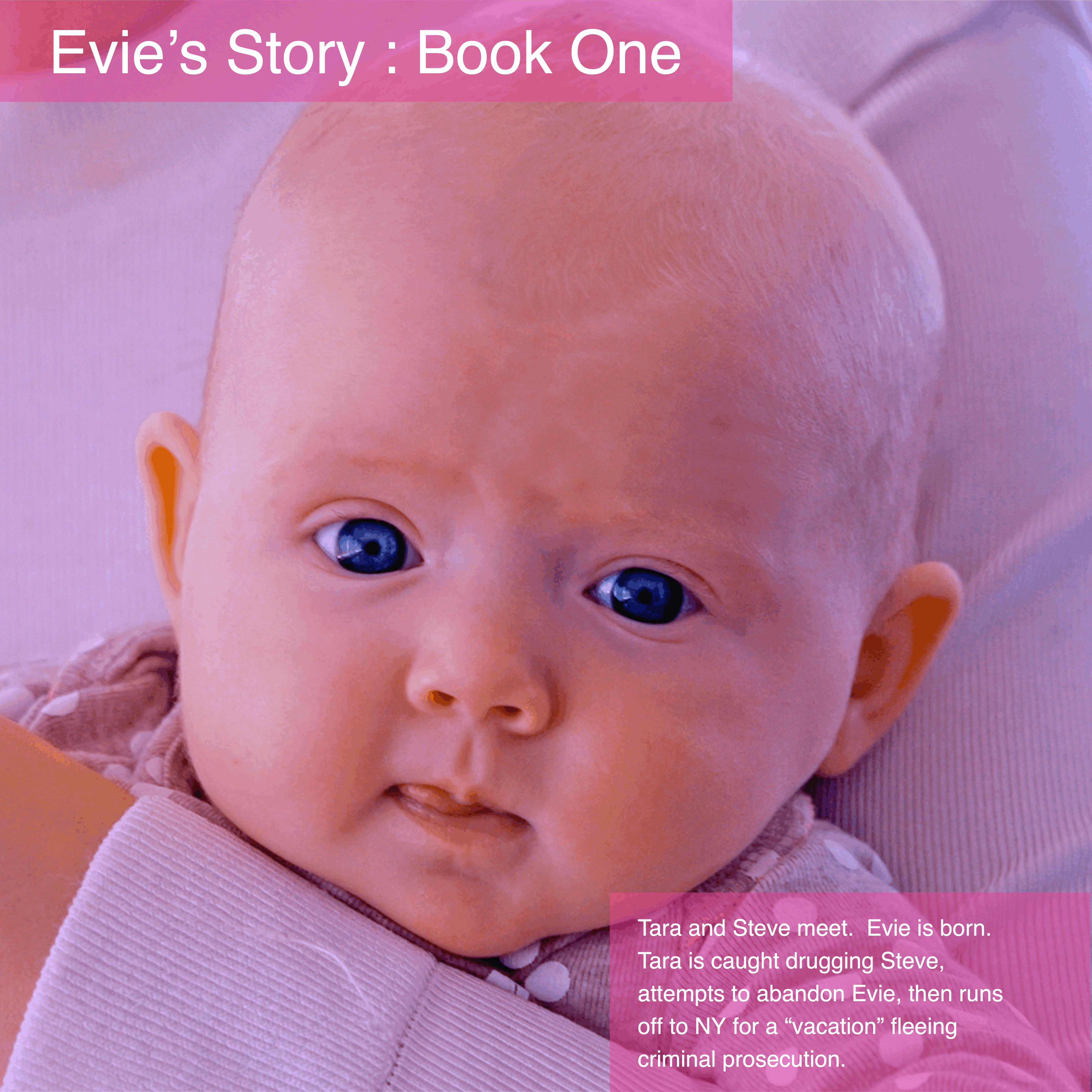 Evie's Story: The original books created by Aunt K in an effort to tell this complex story