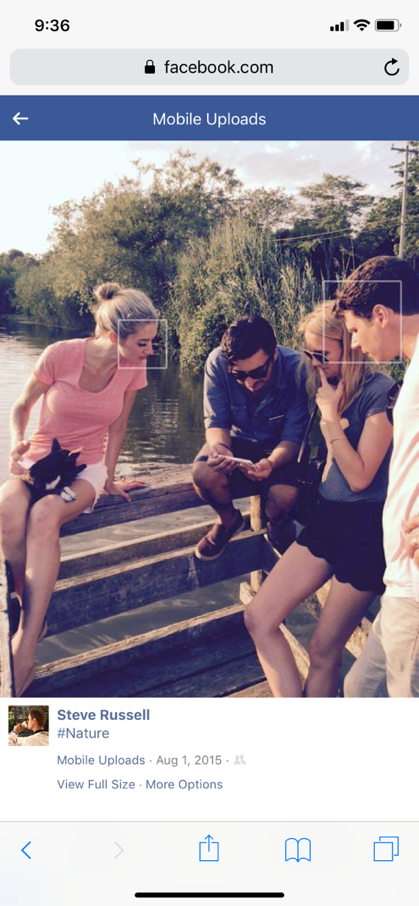 Facebook screenshot — Steve Russell, Tara Walsh, and Chris Ochoa on a dock in the Hamptons, leaning over a pond to look at a turtle, August 2015